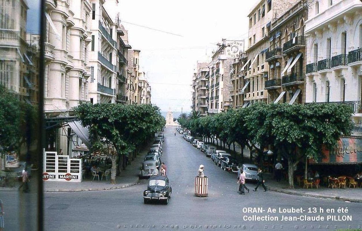 2097- Oran - Avenue Loubet - J.C. Pillon.jpg